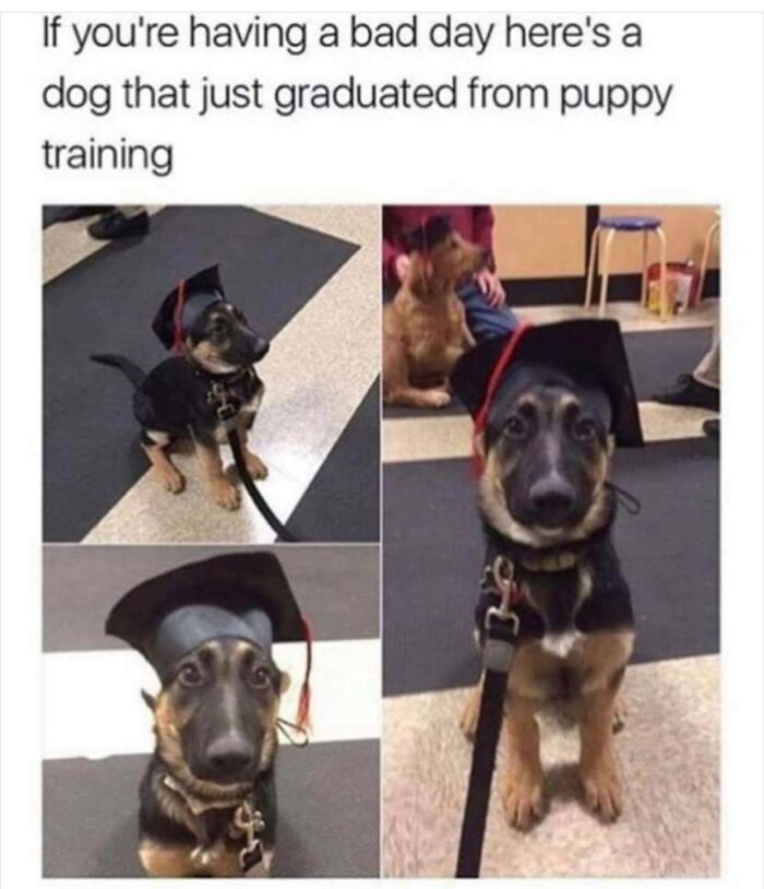 People-Share-Super-Wholesome-Pics