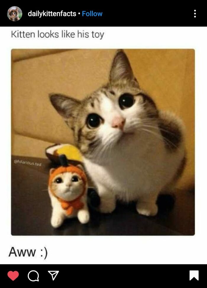 People-Share-Super-Wholesome-Pics