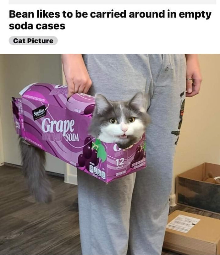 People-Share-Super-Wholesome-Pics