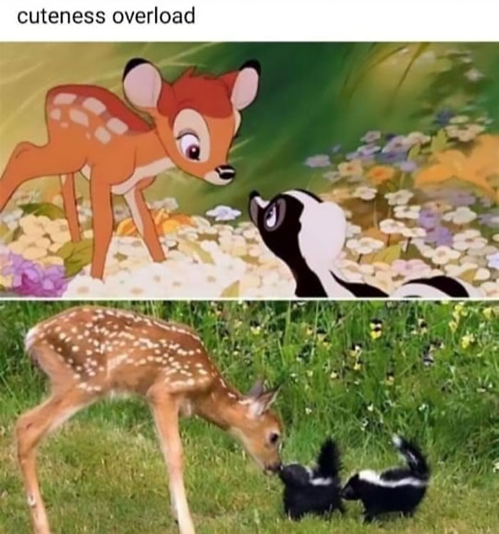 People-Share-Super-Wholesome-Pics