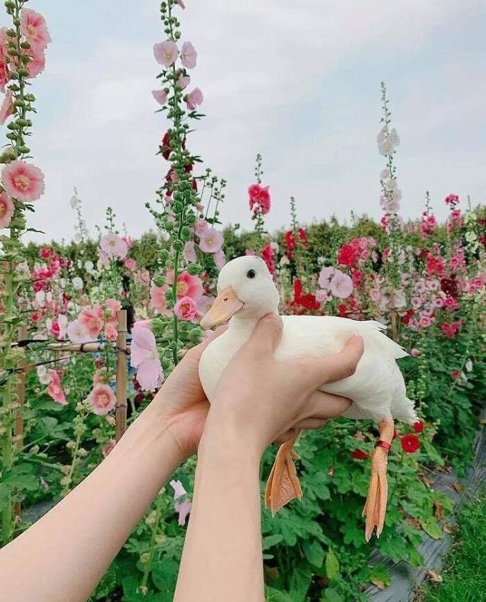 People-Share-Super-Wholesome-Pics