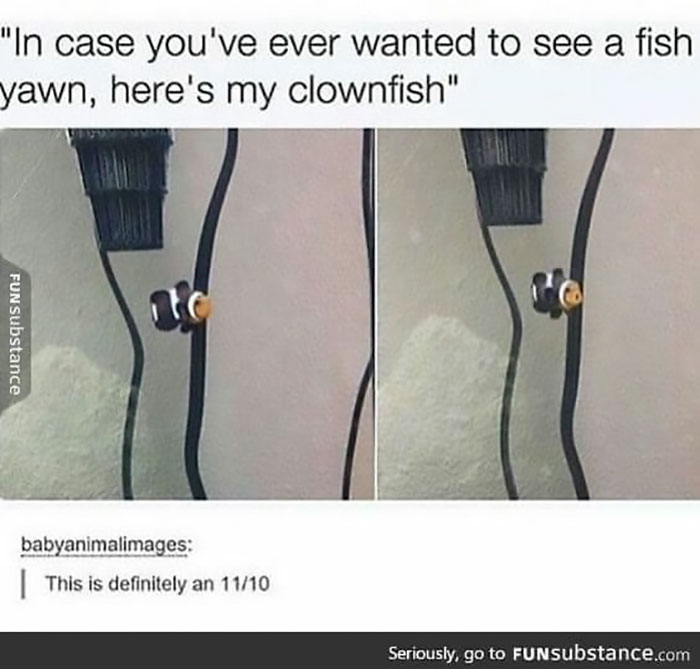 People-Share-Super-Wholesome-Pics