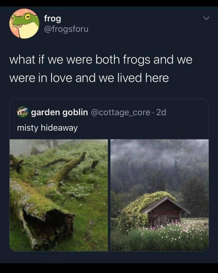 People-Share-Super-Wholesome-Pics