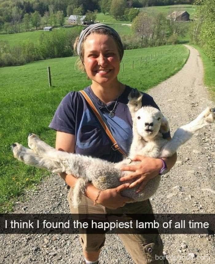 People-Share-Super-Wholesome-Pics