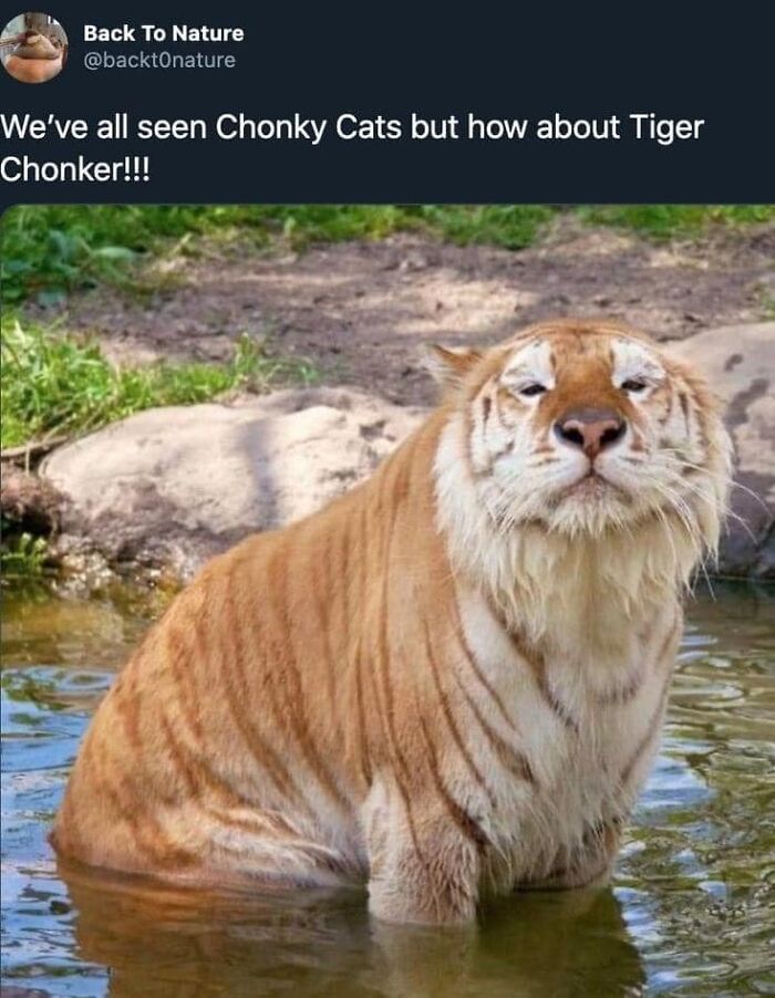 People-Share-Super-Wholesome-Pics