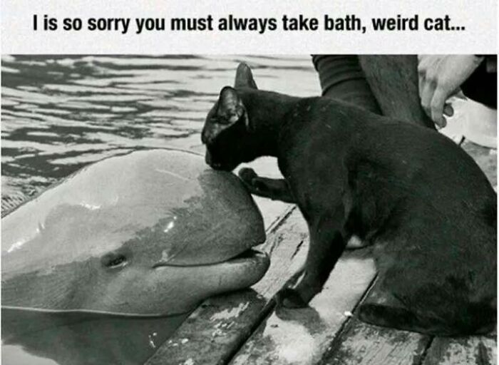 People-Share-Super-Wholesome-Pics