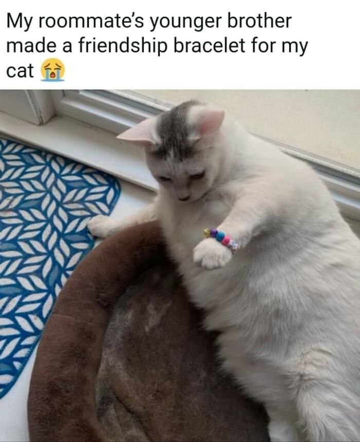 People-Share-Super-Wholesome-Pics