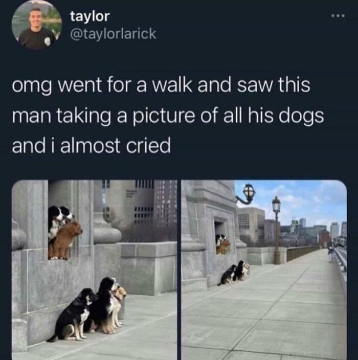 People-Share-Super-Wholesome-Pics