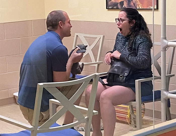 50 Adorable Pics Of These Pets That Found A Loving Home (June Edition)