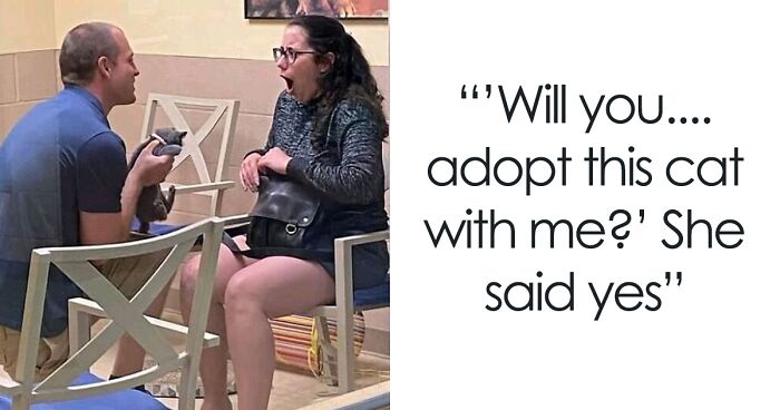 50 Adorable Pics Of These Pets That Found A Loving Home (June Edition)