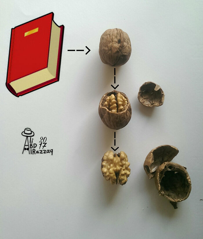 Interactive illustration showing a book transforming into a walnut with its shell and kernel using everyday items.