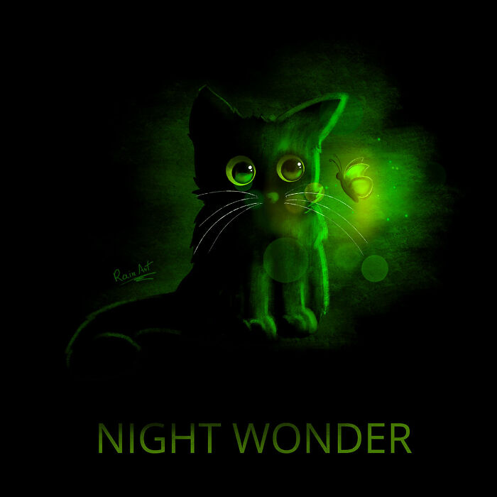Night Wonder