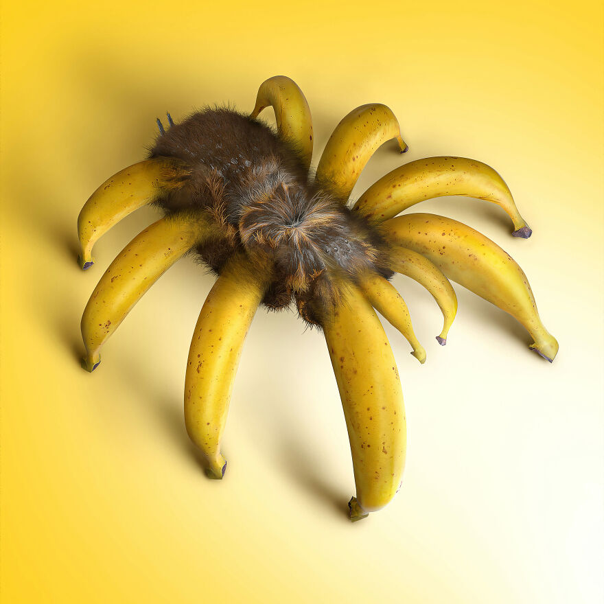 Surreal Photoshops That Combine Completely Different Objects