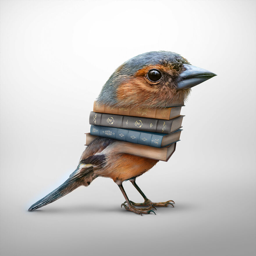 Surreal Photoshops That Combine Completely Different Objects