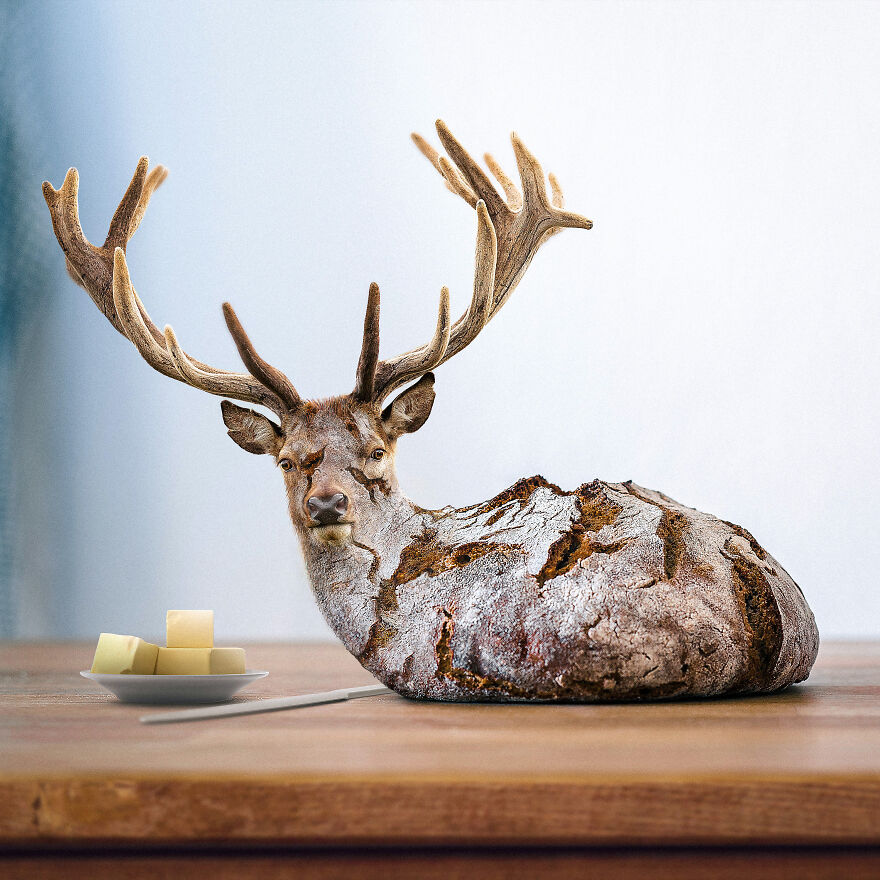 Surreal Photoshops That Combine Completely Different Objects