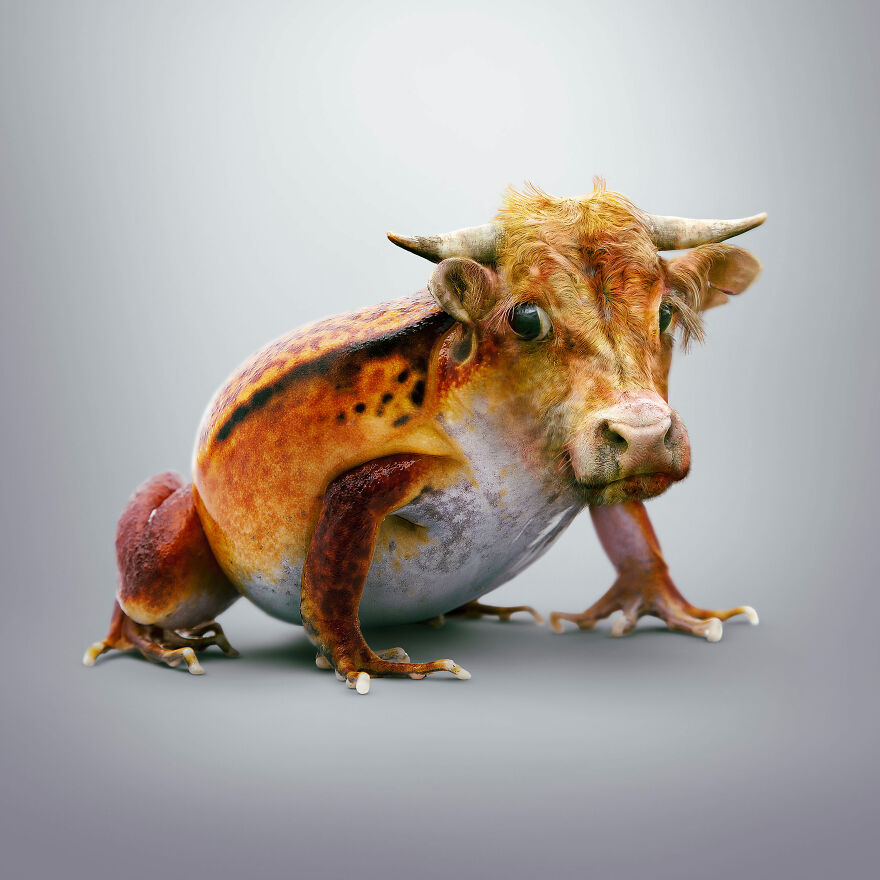 Surreal Photoshops That Combine Completely Different Objects