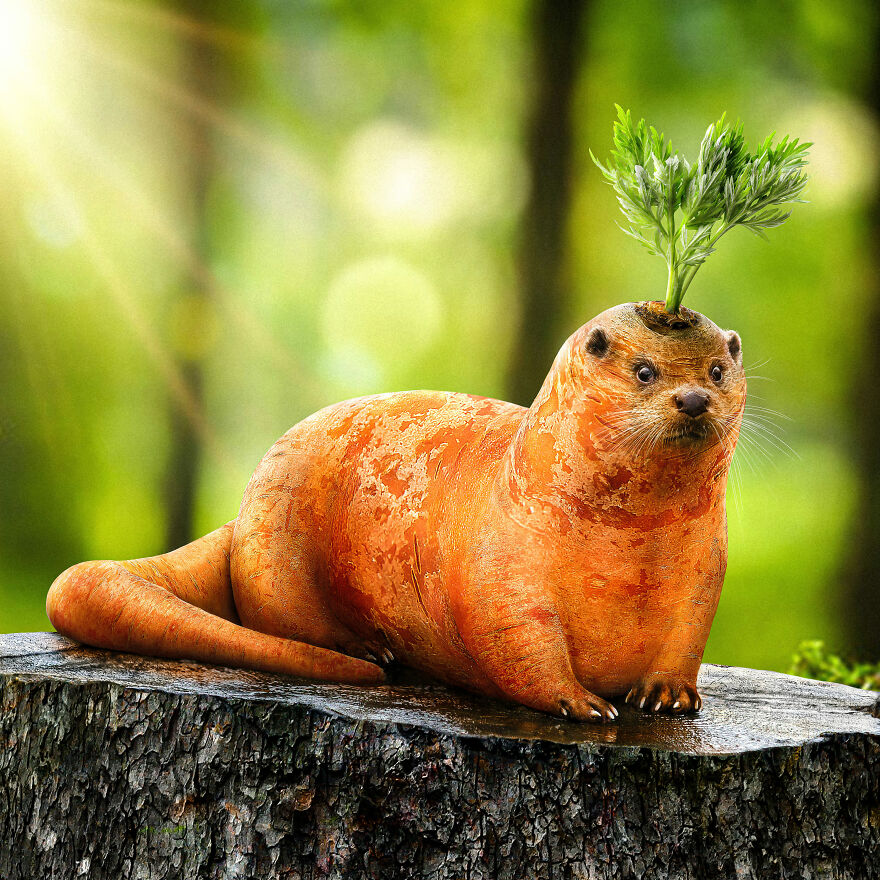 Surreal Photoshops That Combine Completely Different Objects