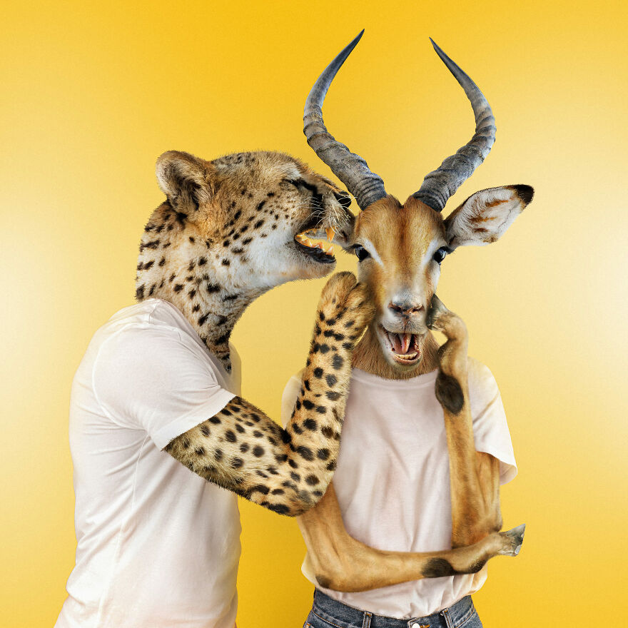 Surreal Photoshops That Combine Completely Different Objects