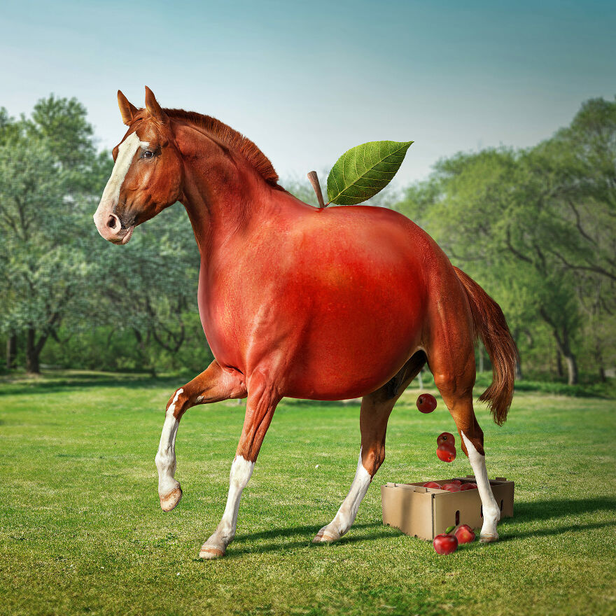 Surreal Photoshops That Combine Completely Different Objects