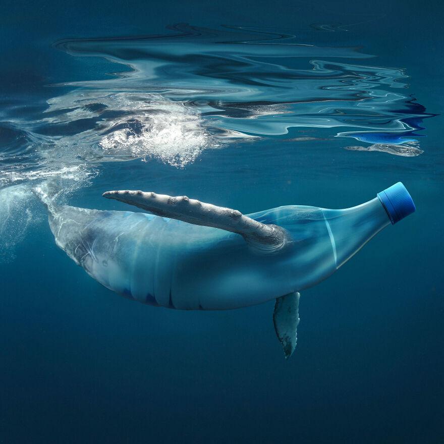 Surreal Photoshops That Combine Completely Different Objects