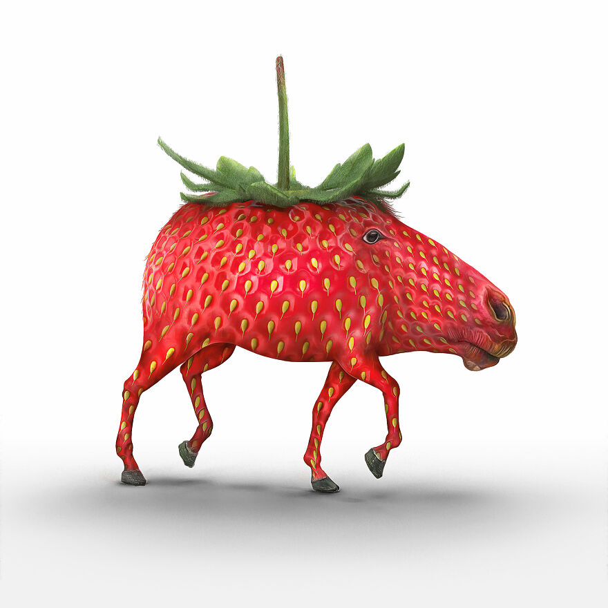 Surreal Photoshops That Combine Completely Different Objects