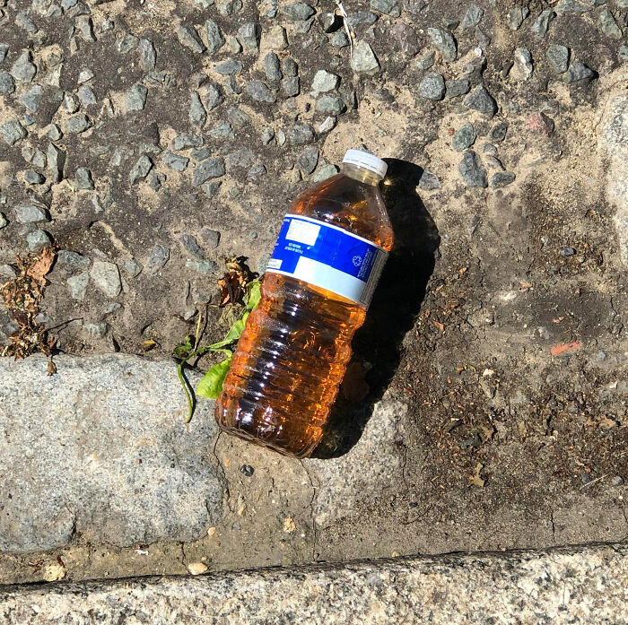Forbidden Street Apple Juice