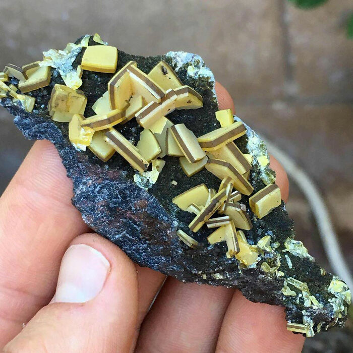 Forbidden Mints - Wulfenite With Mottramite From Ojuela Mine, Mexico