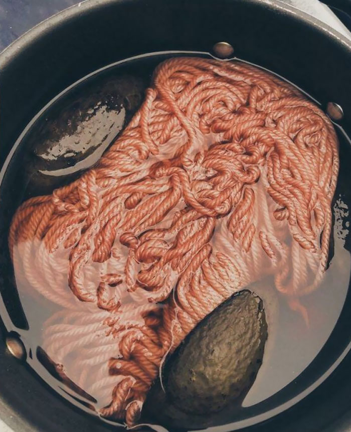 Forbidden Hamburger Mince