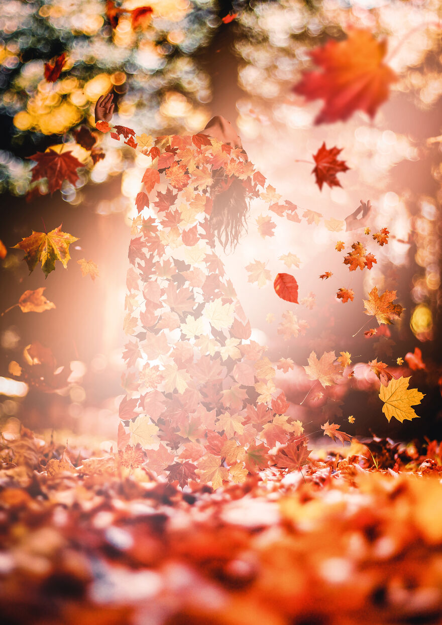 In Every Change, In Every Falling Leaf There Is Some Pain, Some Beauty. And That's The Way New Leaves Grow