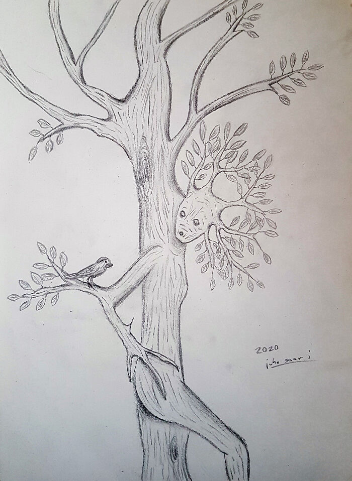 One Of My Pencil Drawings