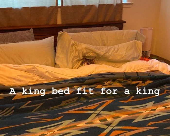 A King Bed Fit For A King