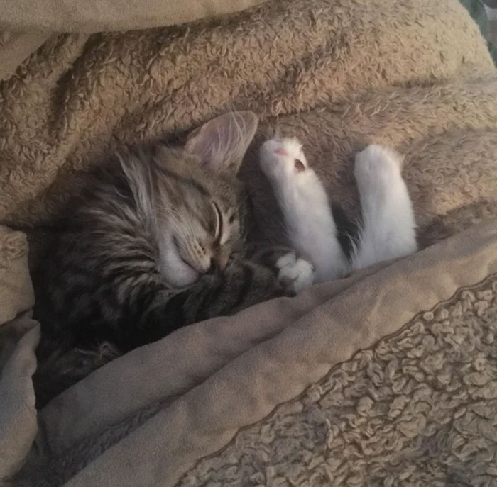 Our Baby Mischief Sleeps With Her Bunny Feet Sticking Out