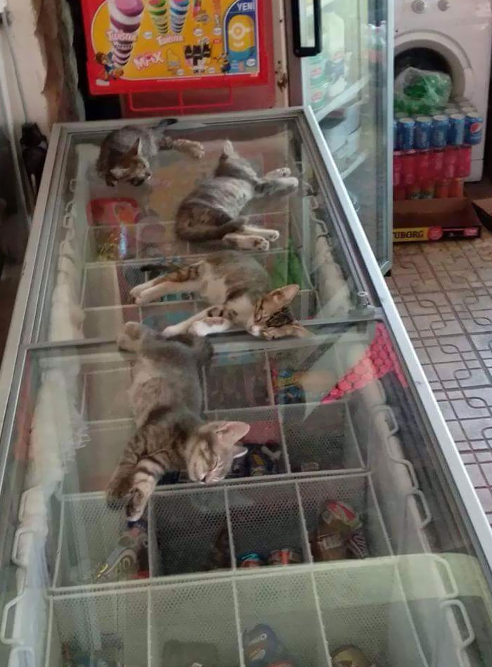 It's Kinda Hot In Greece