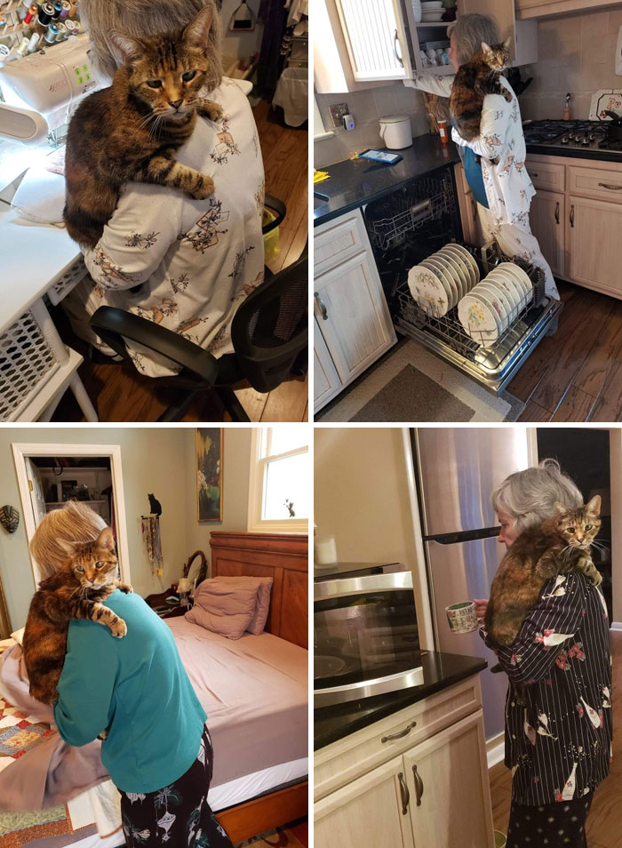 Good Thing Mom Has Milly Around To Help With All The Things