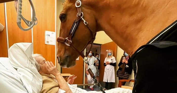 35 Imágenes reconfortantes que te alegrarán si estás desanimado (nuevas fotos)