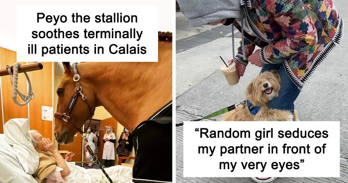 If You’re Feeling Down, These 50 Wholesome Pics Might Lift You Up (New Pics)