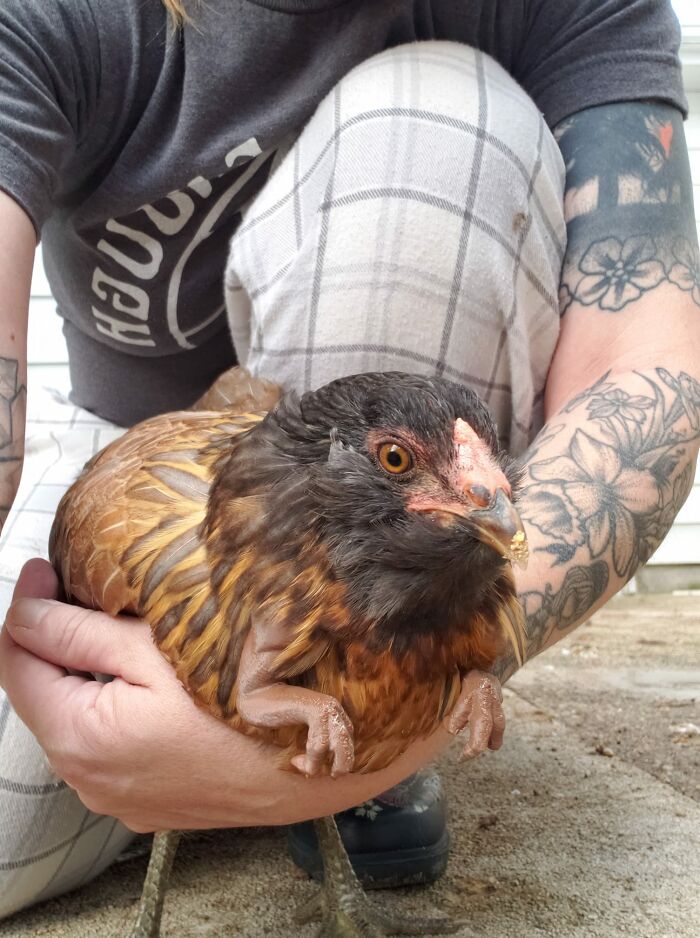 Weirdling Connection