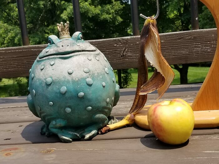 Rescued This Fabulous Frog Prince From St. Vincent De Paul In Northern Cincinnati, Ohio. Fellow Weirdings, Should I Try My Hand At Painting Him, Or Leave Him As Is?