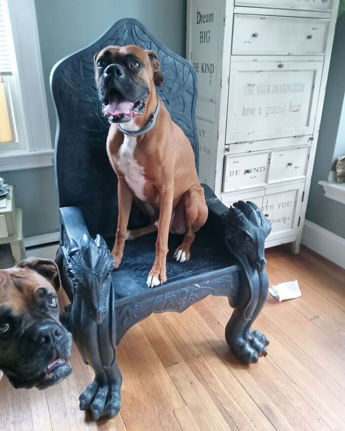 I Bought This Dragon Throne Off Fb Marketplace. Turns Out It Was A Display At A Powersport Store The Guy Had Owned