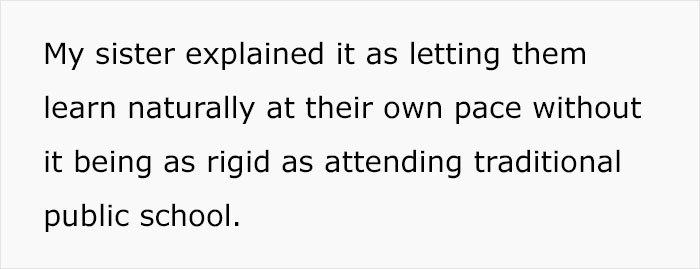 Woman Calls Out Her Sister For Failing At Homeschooling Her Kids, Family Drama Ensues