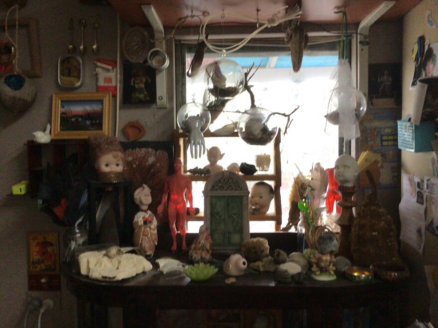 My Mum Is A Mosaic Artist And Loves To Create Amazing Artworks That She Upcycles From Skips And Creeks (No Animals Were Harmed In The Making Of These Artworks) My Mum Is A Mosaic Artist And Loves To Create Amazing Artworks That She Upcycles From Skips And Creeks (No Animals Were Harmed In The Making Of These Artworks)