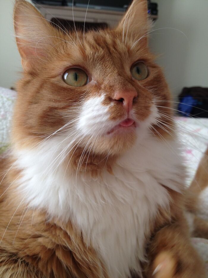 My Oscar, Beautiful And A Little Silly 😝