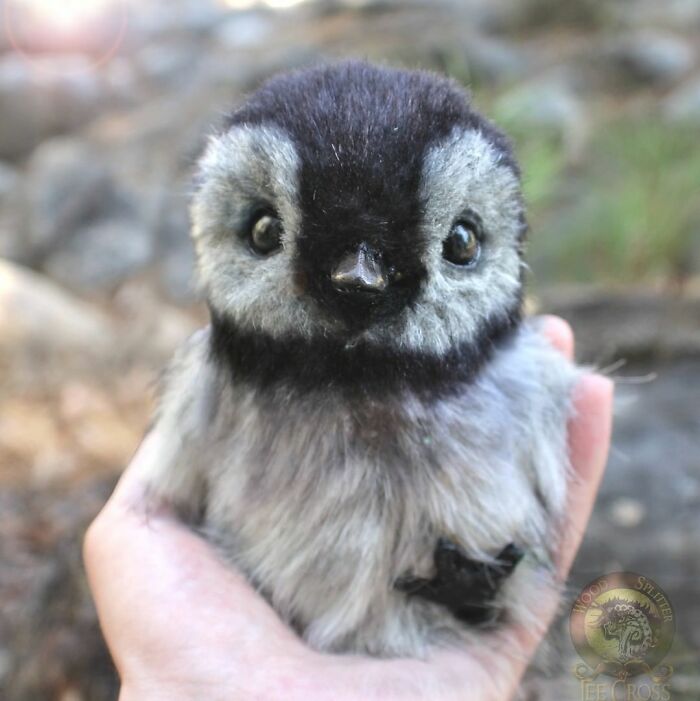 Meet Lee Cross's "Living" Sculptures (135 Pics)