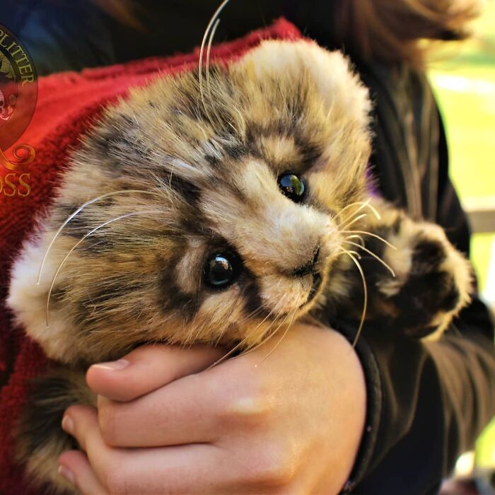 Meet Lee Cross's "Living" Sculptures (135 Pics)