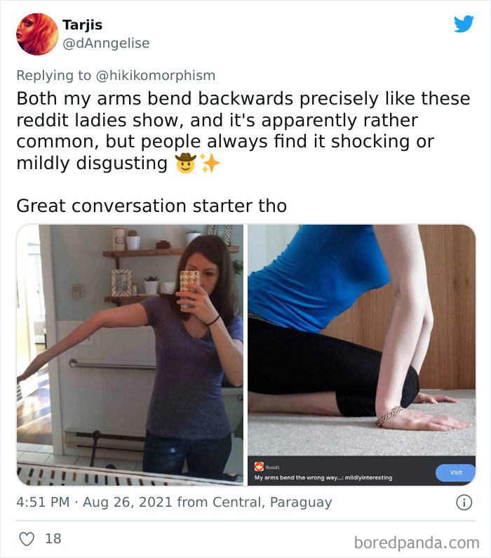 Weird-Obscure-Stories-Tweets