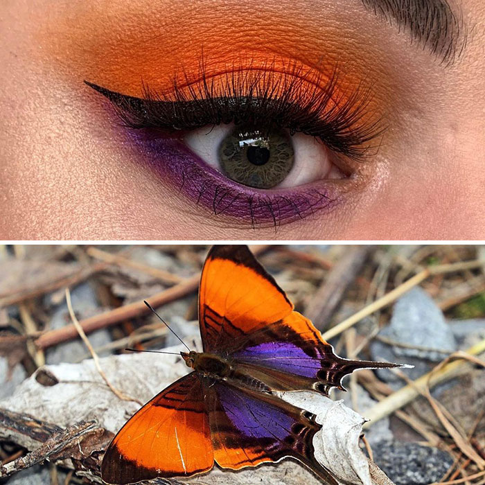 Bug-Inspired-Eye-Makeup-Duran-Jay-Entomakeup