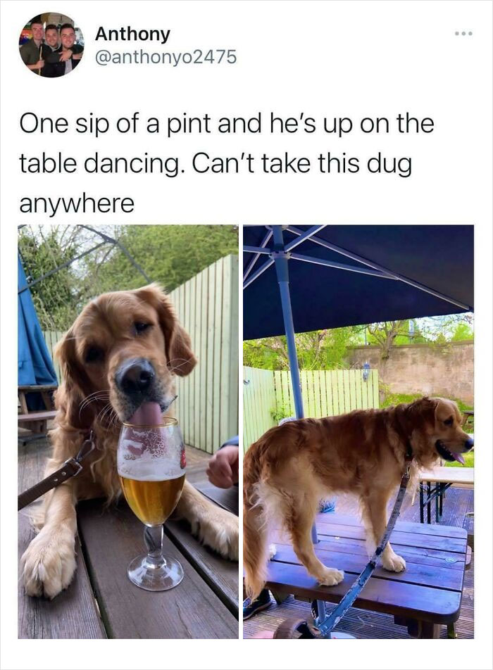 Next He’ll Be Pishing Anywhere He Wants