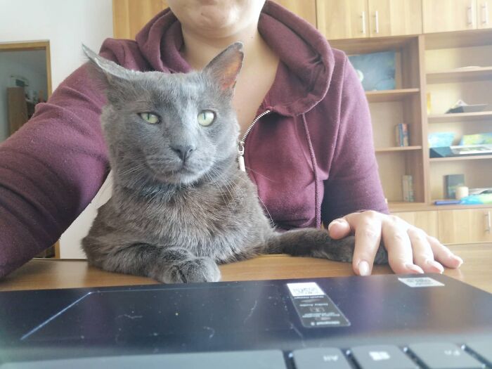 How You Doin' - My Lovely Ash