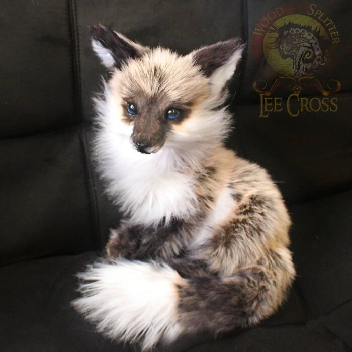 Meet Lee Cross's "Living" Sculptures (135 Pics)