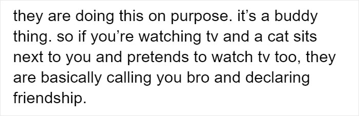 Cat Rescuer Explains How Cat Social Behavior Is Often Misinterpreted By ‘Dog People’ Cat Rescuer Explains How Cat Social Behavior Is Often Misinterpreted By ‘Dog People’